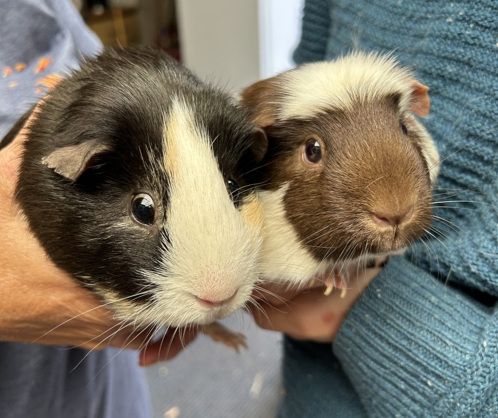 CARAMEL & BHAJI