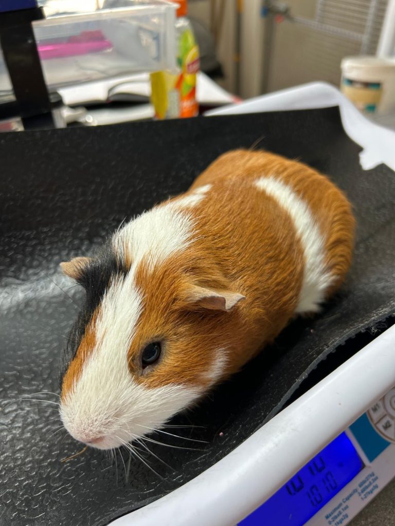 Ralph reserved